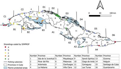 Causes of Mortality for Endangered Antillean Manatees in Cuba